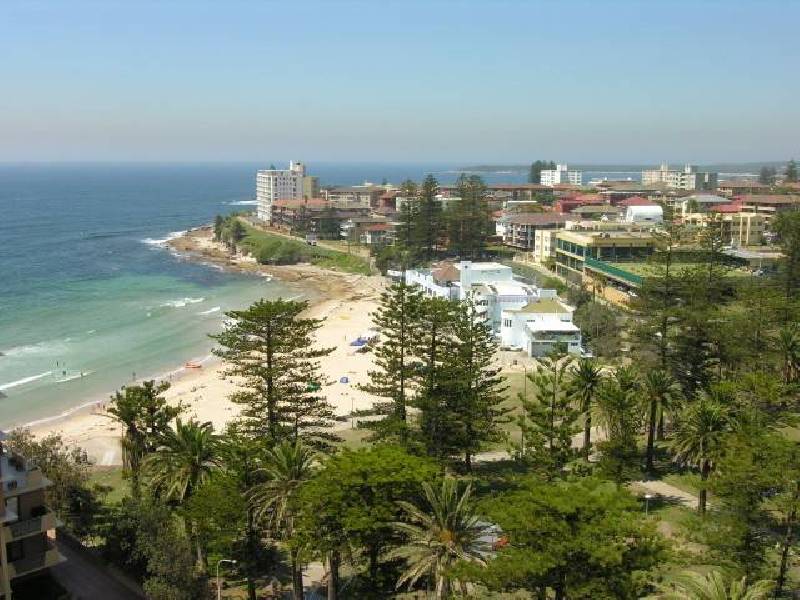 20 Gerrale Street, Cronulla NSW 2230