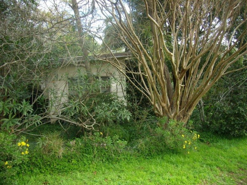 48 Crescent Rd, Caringbah South NSW 2229