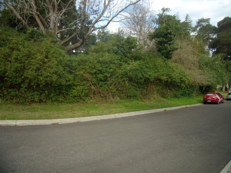 48 Crescent Rd, Caringbah South NSW 2229