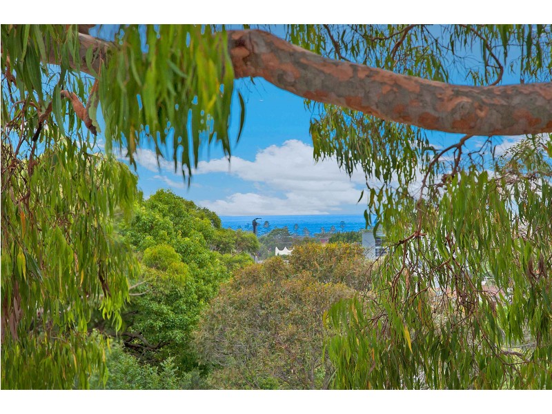 22 Redman Road, Dee Why NSW 2099