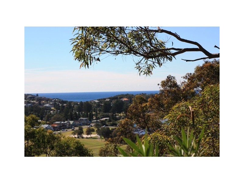 52  Alleyne St, North Narrabeen NSW 2101