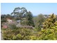 13 Randall Court, Collaroy Plateau NSW 2097