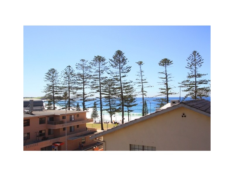 5/105 Howard Ave, Dee Why NSW 2099