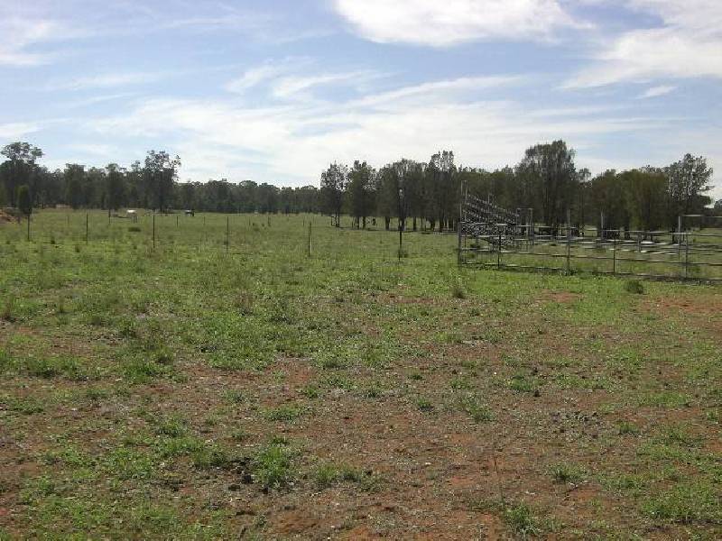 8R Thornwood Road, Dubbo NSW 2830