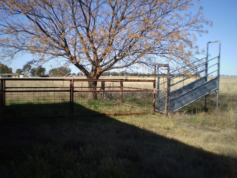 57L Bunglegumbie Road, Dubbo NSW 2830