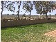 RockRidge 604 Comobella Rd, Geurie NSW 2831