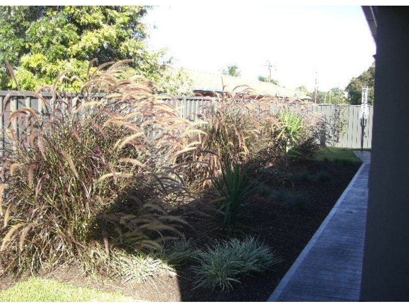 2/287 Darling Street, Dubbo NSW 2830