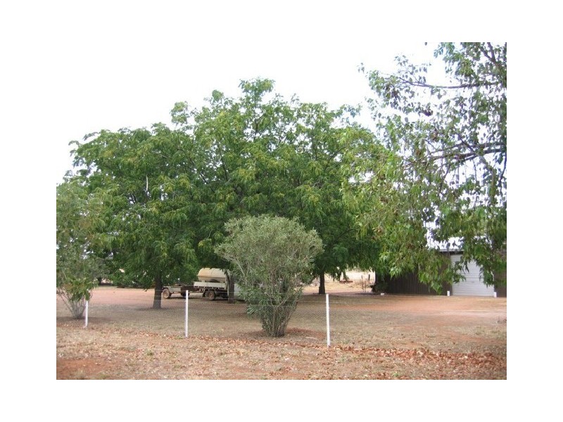 1A Burril Street, Tomingley NSW 2869