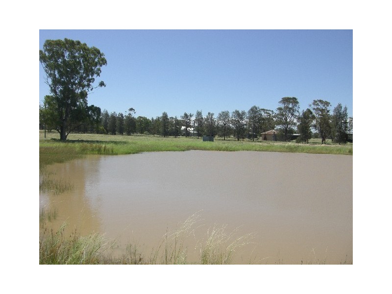 ‘Bundarra’ Porters Lane, Tullamore NSW 2874