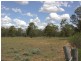 267R  Mogriguy Road, Eumungerie NSW 2831