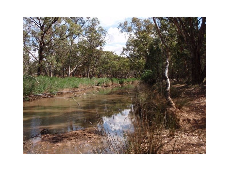 267R  Mogriguy Road, Eumungerie NSW 2831