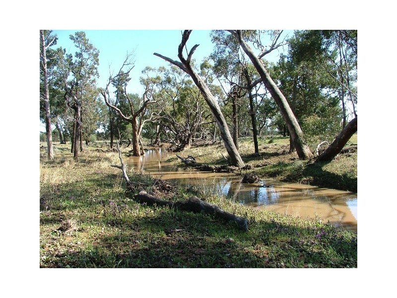 ” Wilmartha’, Condobolin NSW 2877
