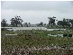 ” Wilmartha’, Condobolin NSW 2877