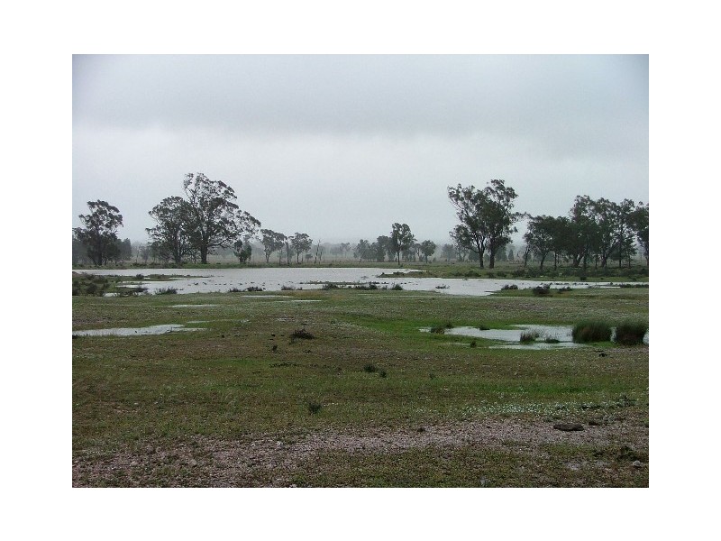 ” Wilmartha’, Condobolin NSW 2877