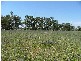 ” Wilmartha’, Condobolin NSW 2877
