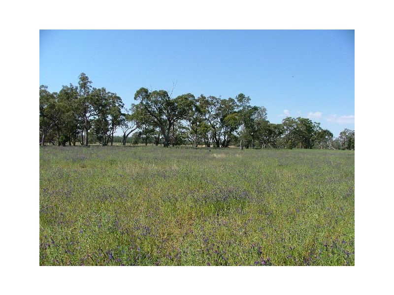 ” Wilmartha’, Condobolin NSW 2877