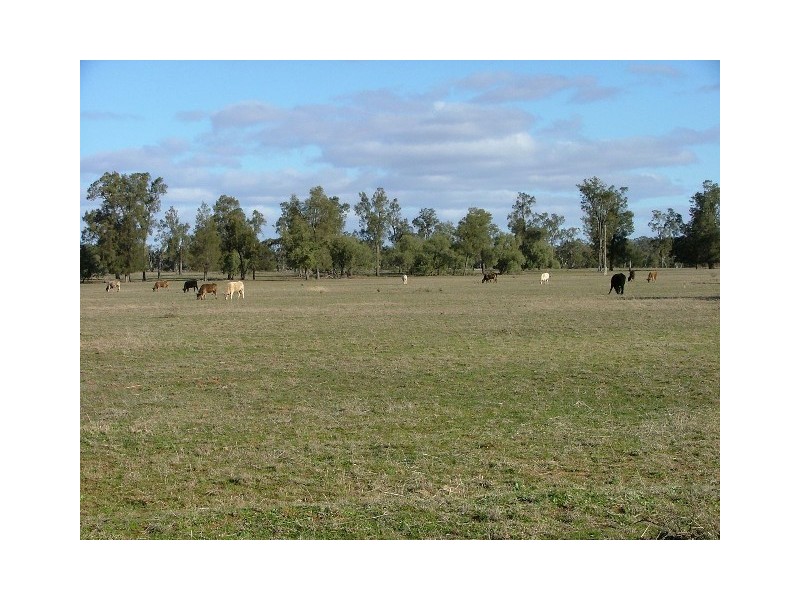” Wilmartha’, Condobolin NSW 2877