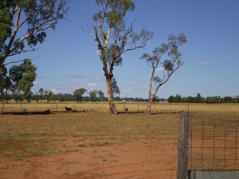 24L Gavel Drive, Dubbo NSW 2830