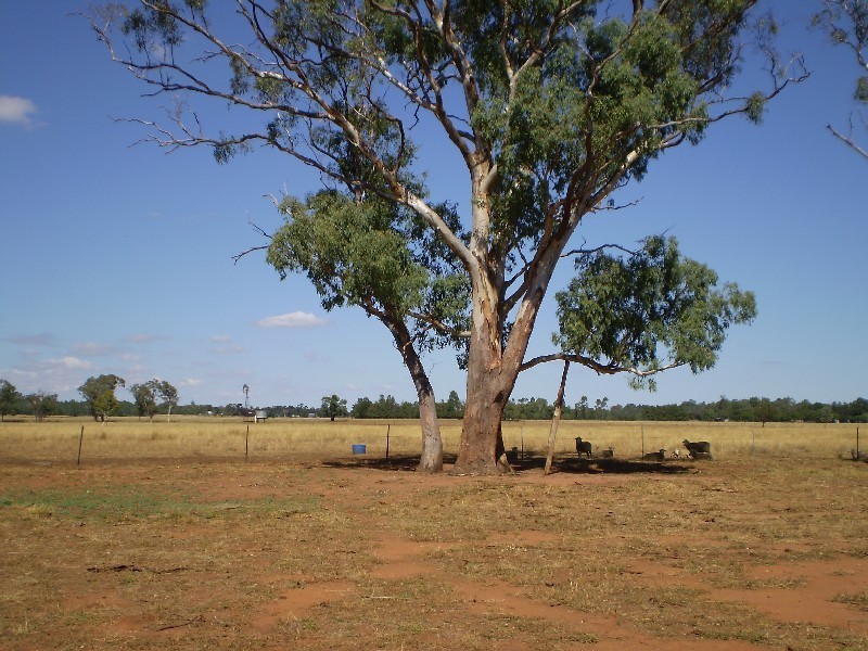 24L Gavel Drive, Dubbo NSW 2830