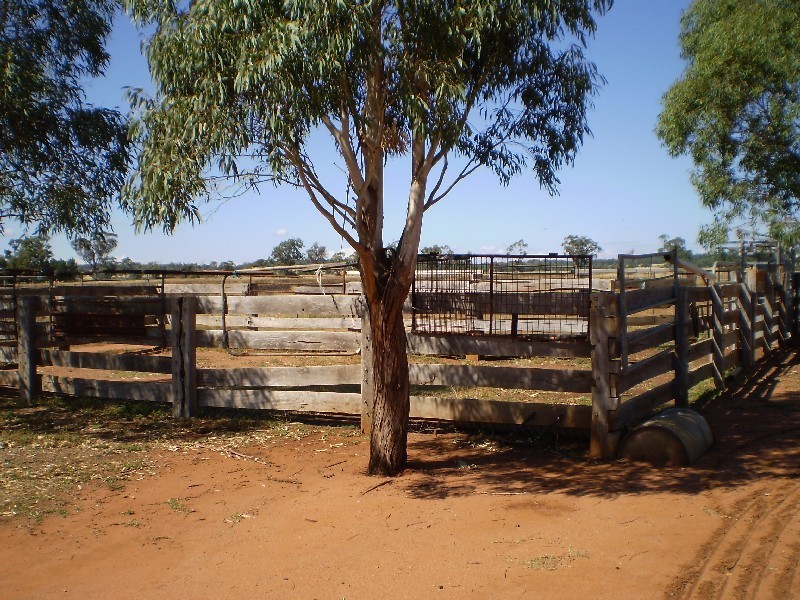 24L Gavel Drive, Dubbo NSW 2830