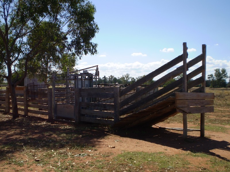 24L Gavel Drive, Dubbo NSW 2830