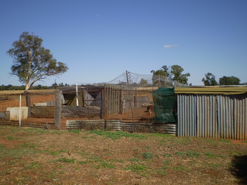 24L Gavel Drive, Dubbo NSW 2830