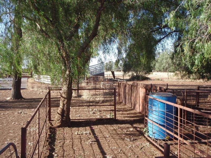 . ‘Wandella’, Condobolin NSW 2877