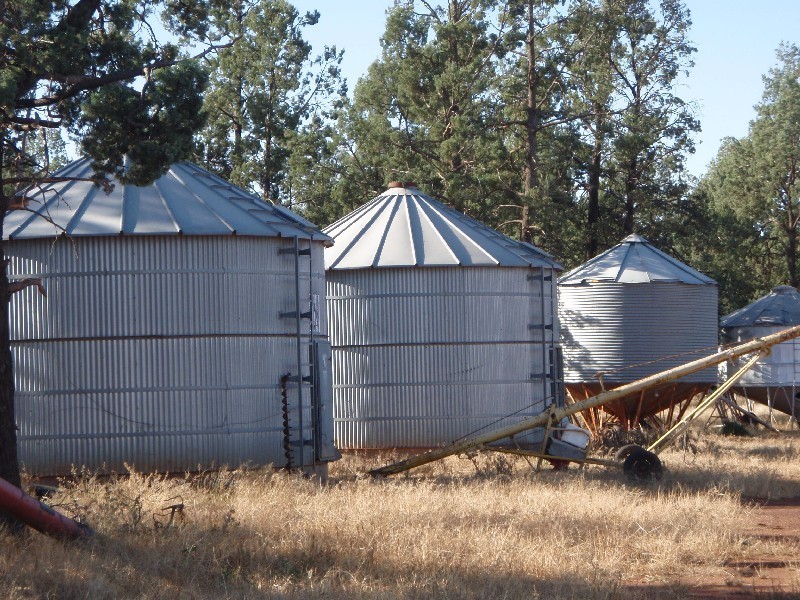 . ‘Wandella’, Condobolin NSW 2877