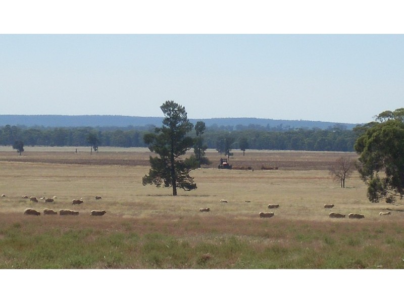 . ‘Wandella’, Condobolin NSW 2877