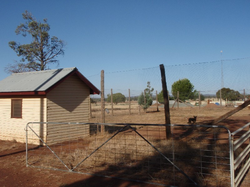 . ‘Wandella’, Condobolin NSW 2877