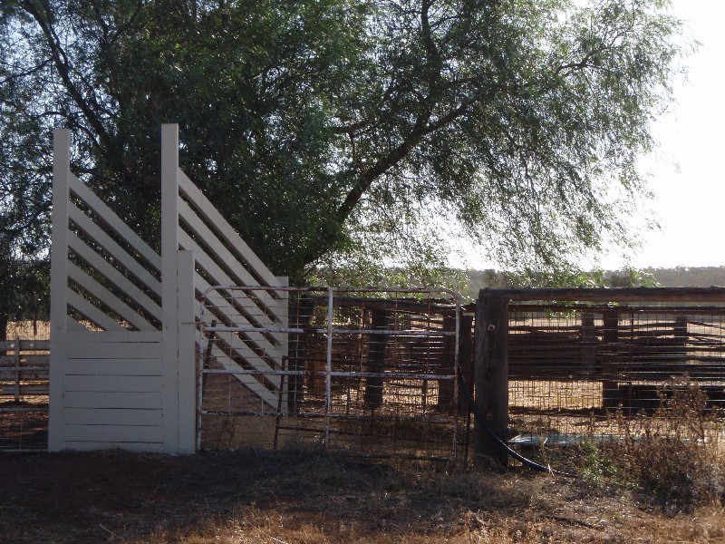 . ‘Wandella’, Condobolin NSW 2877