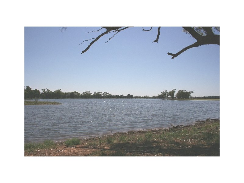 ‘ South Cowal’, Narromine NSW 2821