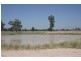 ‘ South Cowal’, Narromine NSW 2821