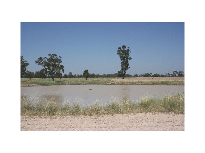 ‘ South Cowal’, Narromine NSW 2821