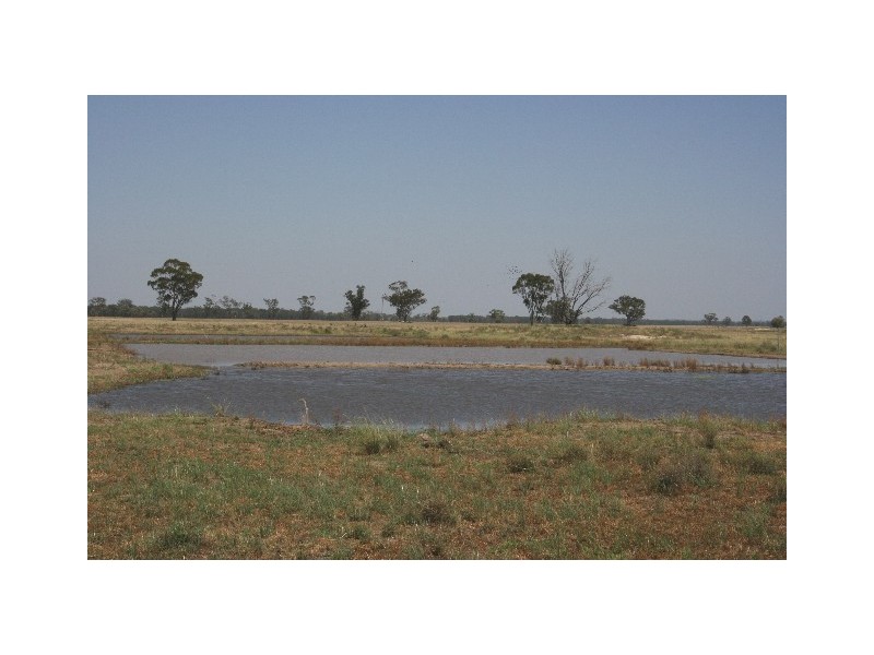 ‘ South Cowal’, Narromine NSW 2821