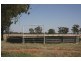 ‘ South Cowal’, Narromine NSW 2821