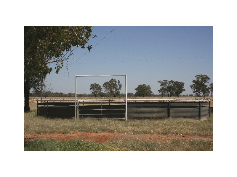 ‘ South Cowal’, Narromine NSW 2821