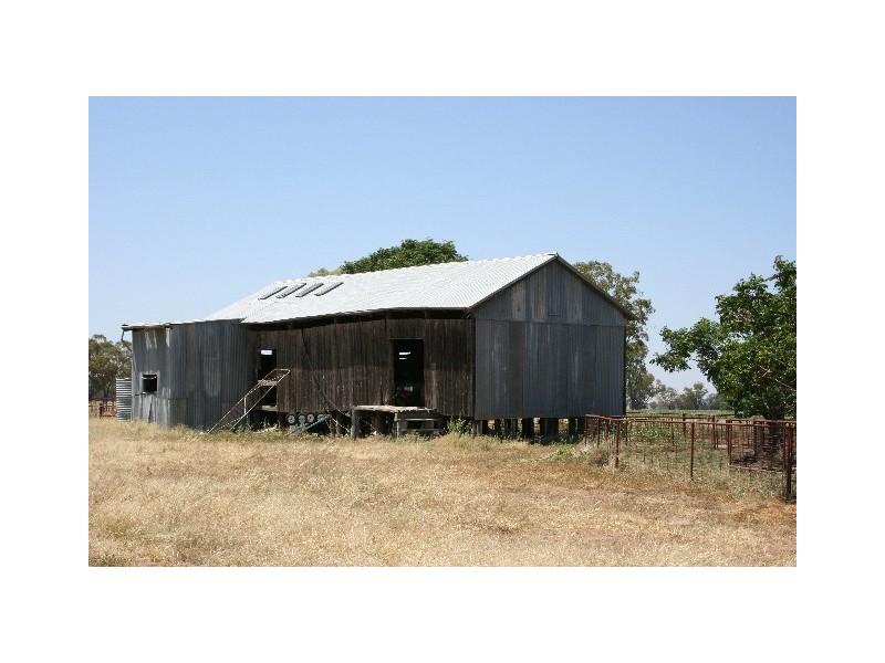 ‘ South Cowal’, Narromine NSW 2821