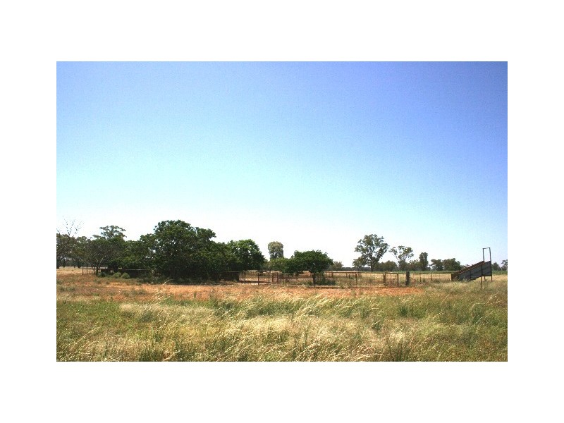 ‘ South Cowal’, Narromine NSW 2821