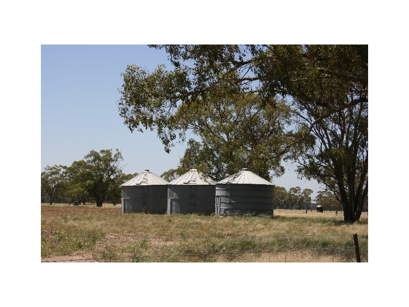 ‘ South Cowal’, Narromine NSW 2821