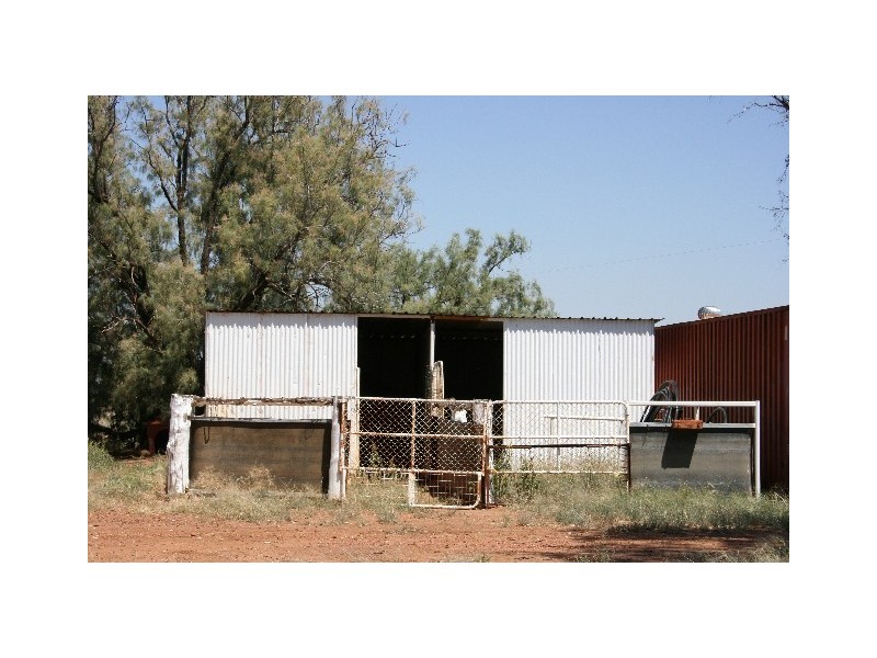 ‘ South Cowal’, Narromine NSW 2821