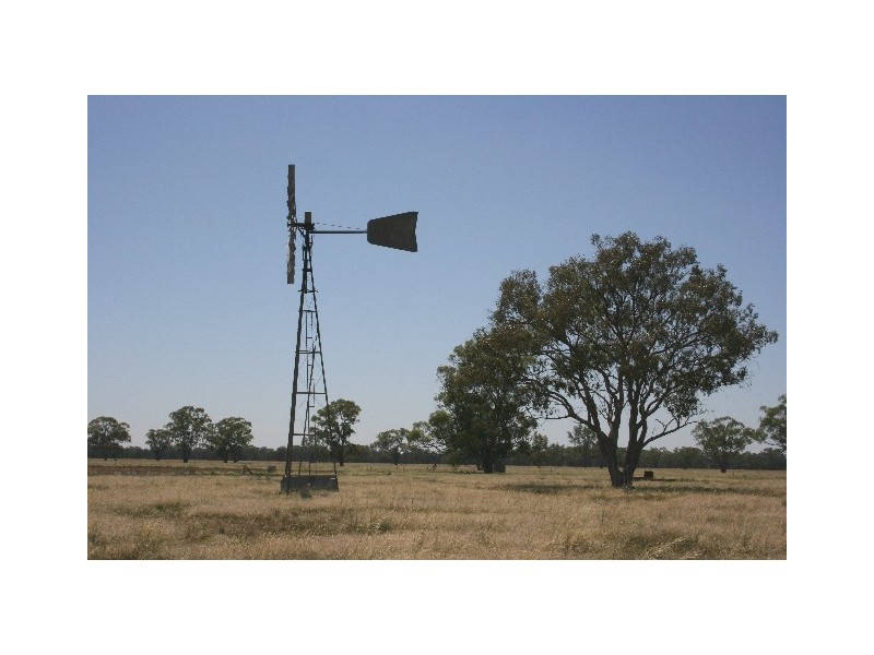 ‘ South Cowal’, Narromine NSW 2821