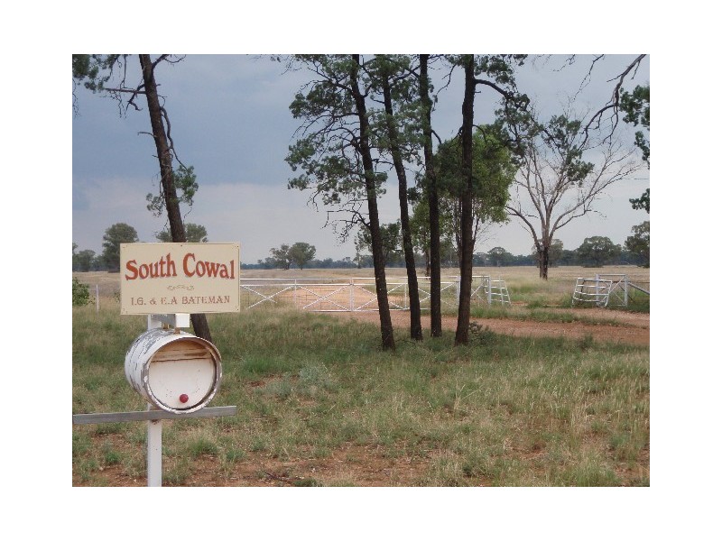 ‘ South Cowal’, Narromine NSW 2821