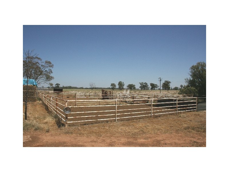 ‘ South Cowal’, Narromine NSW 2821