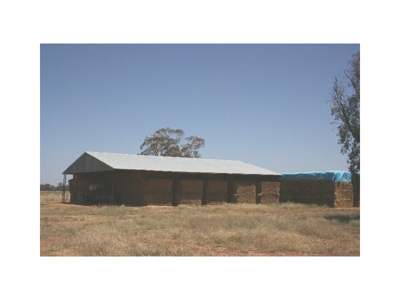 ‘ South Cowal’, Narromine NSW 2821