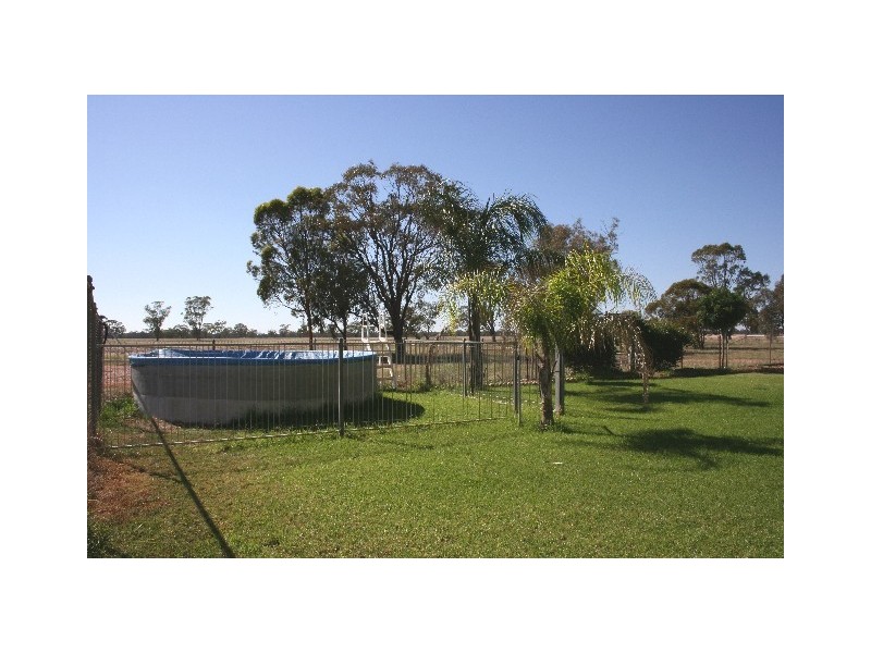 ‘ South Cowal’, Narromine NSW 2821
