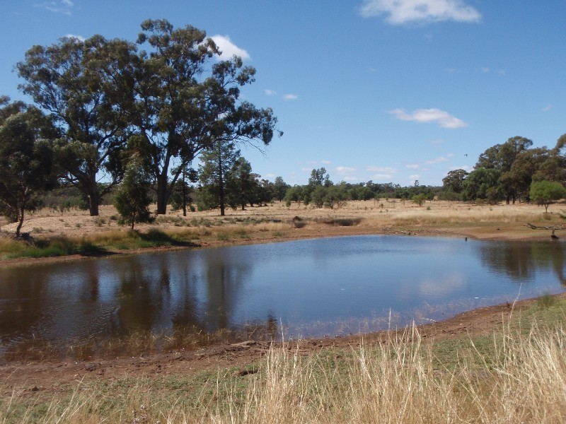 . “Kinvarra”, Tullamore NSW 2874