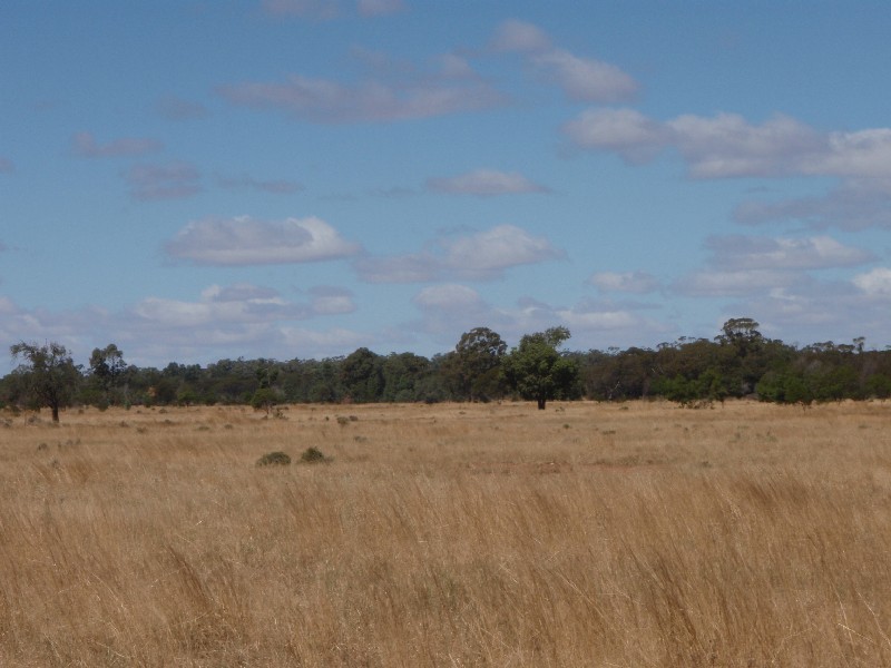 . “Kinvarra”, Tullamore NSW 2874