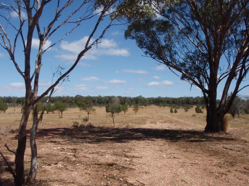 . “Kinvarra”, Tullamore NSW 2874