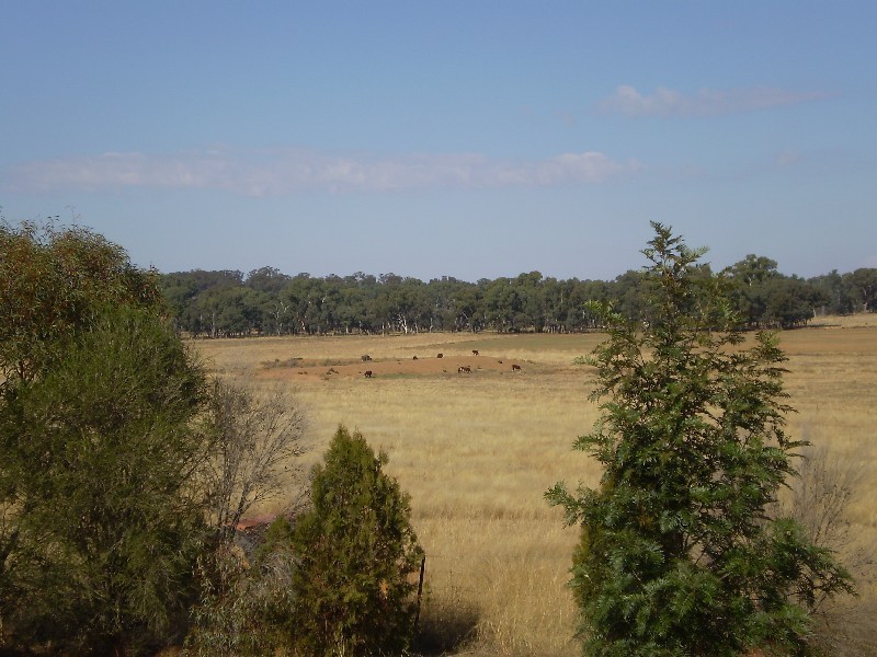 . ‘Balbirini’, 23R Westella Road, Geurie NSW 2831